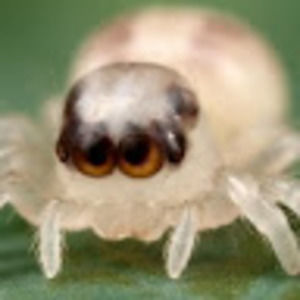 Meet your Posher, Chloe